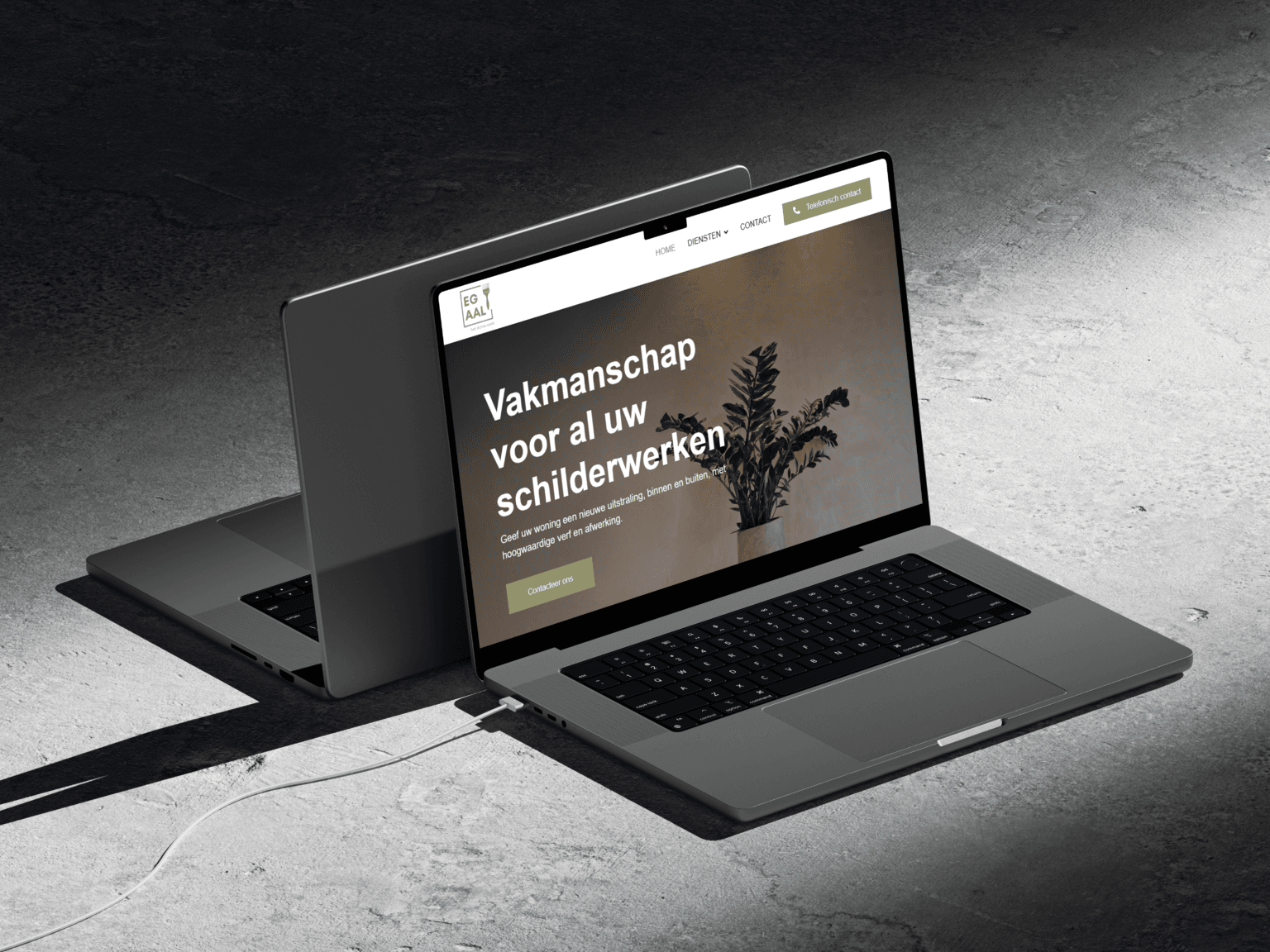 Goedkope website, website op maat laten maken webdesigner