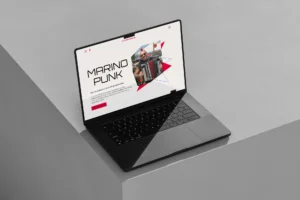 Website laten maken bij Kodalex, website Marino Punk, webdesign menen