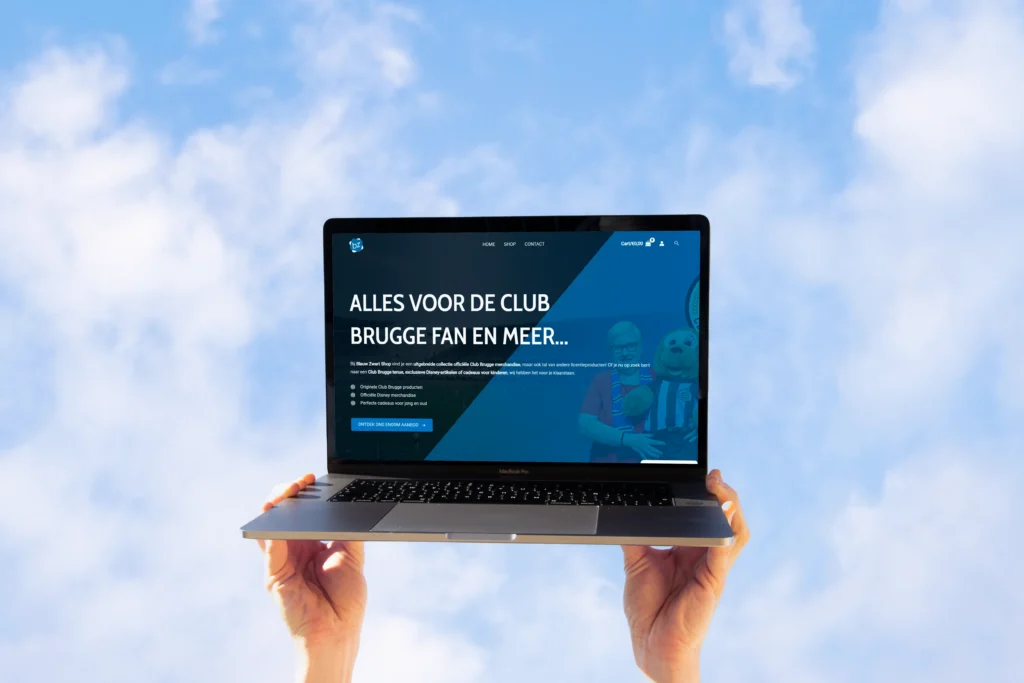 Webshop laten maken op maat in Menen, voordelige webshop, webdesign